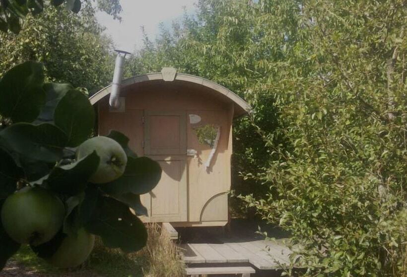 Schaeferwagenhotel Campsite