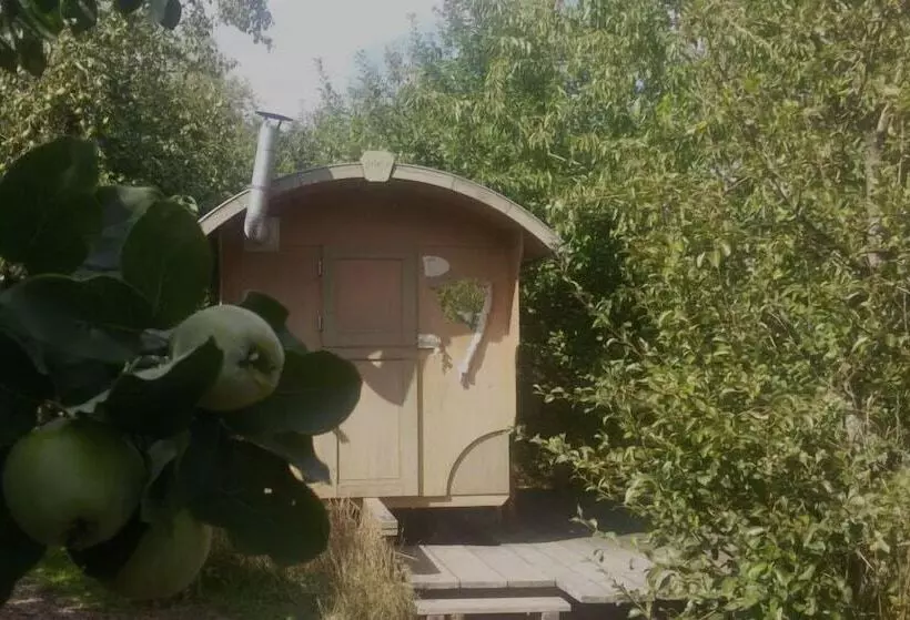 Schaeferwagenhotel Campsite