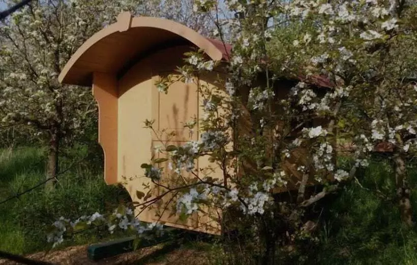 Schaeferwagenhotel Campsite