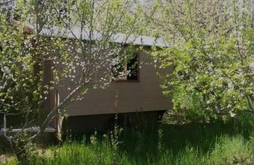 Schaeferwagenhotel Campsite