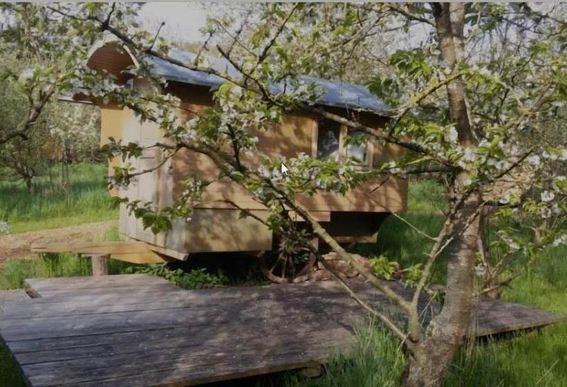 Schaeferwagenhotel Campsite