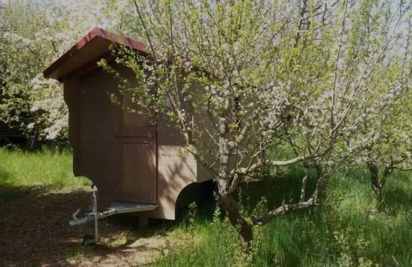 Schaeferwagenhotel Campsite