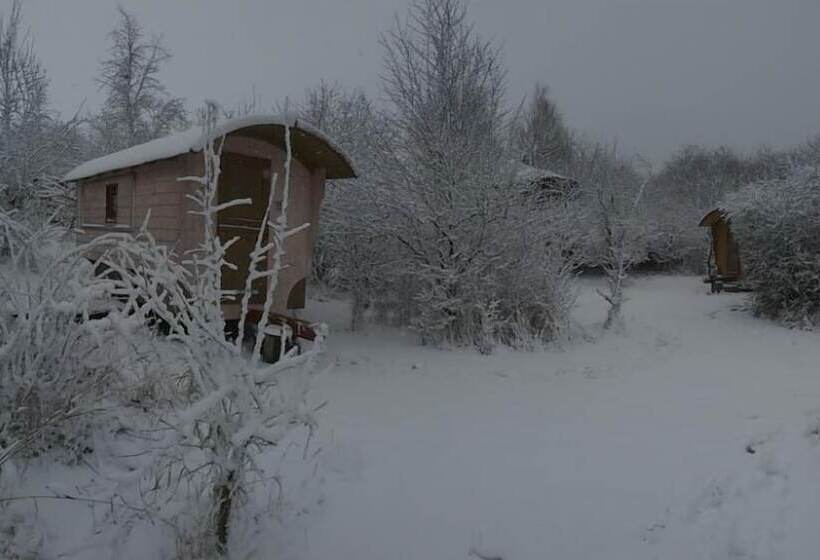 Schaeferwagenhotel Campsite