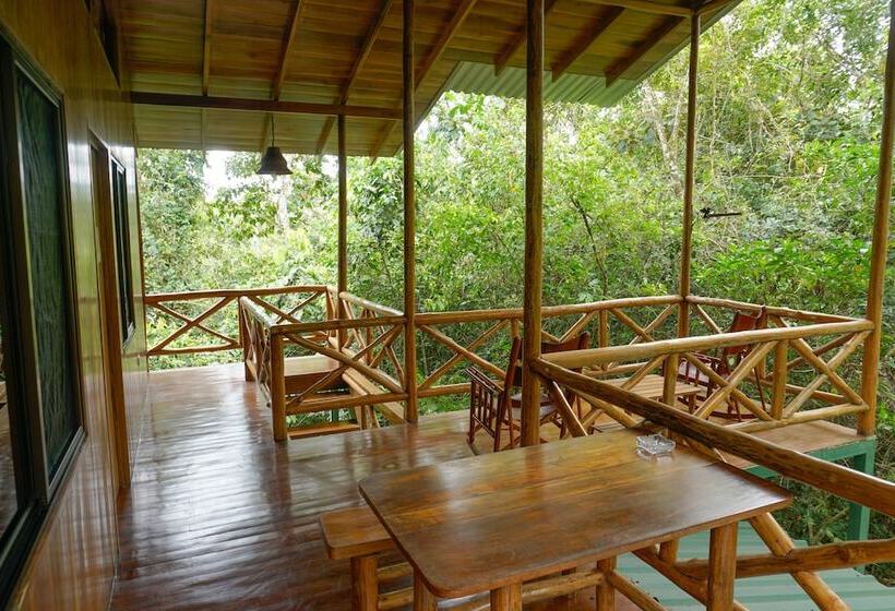 Tree Houses Hotel Costa Rica