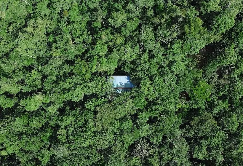 Tree Houses Hotel Costa Rica