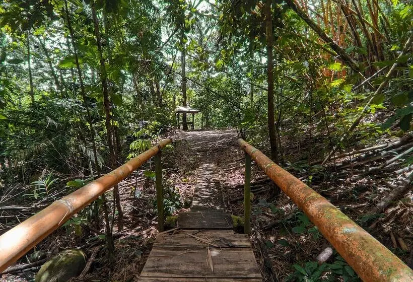 Tree Houses Hotel Costa Rica