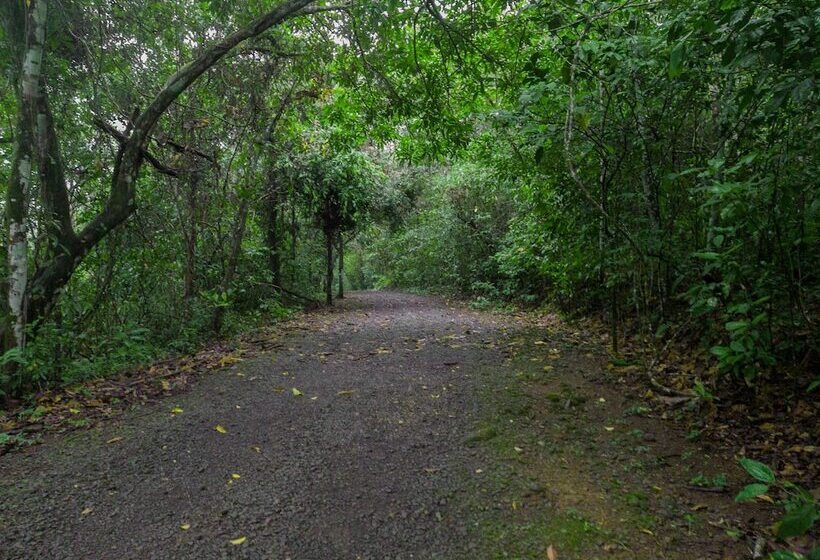 Tree Houses Hotel Costa Rica