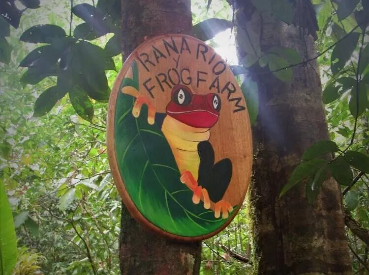 Tree Houses Hotel Costa Rica