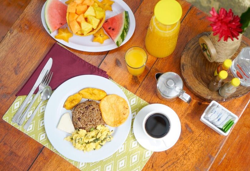 Tree Houses Hotel Costa Rica