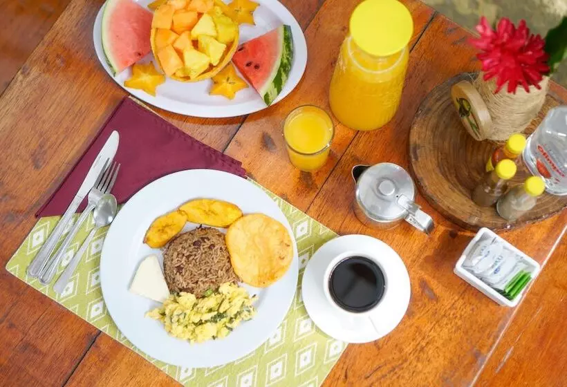 Tree Houses Hotel Costa Rica