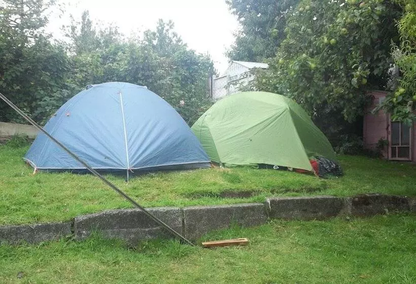 Casa Perla   Hostel