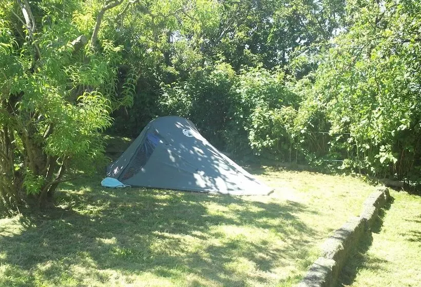Casa Perla   Hostel