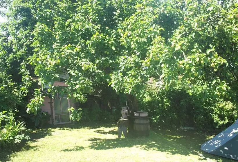 Casa Perla   Hostel