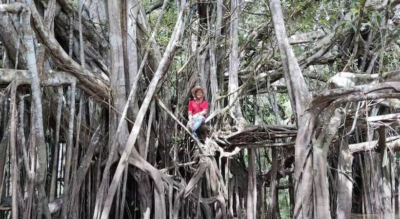 هتل Curuhuinsi Lodge