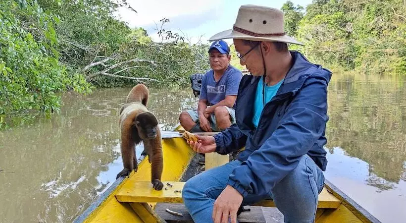 هتل Curuhuinsi Lodge
