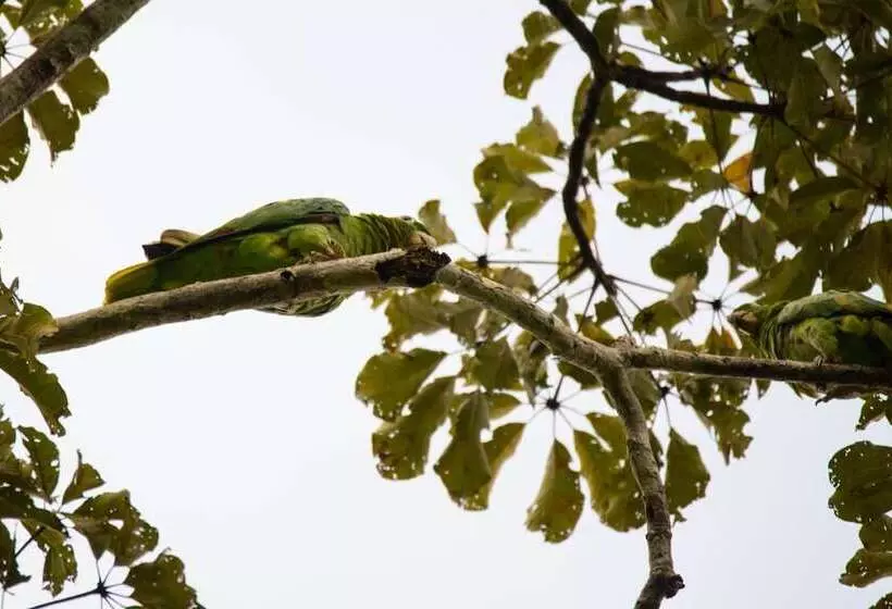 هتل Curuhuinsi Lodge