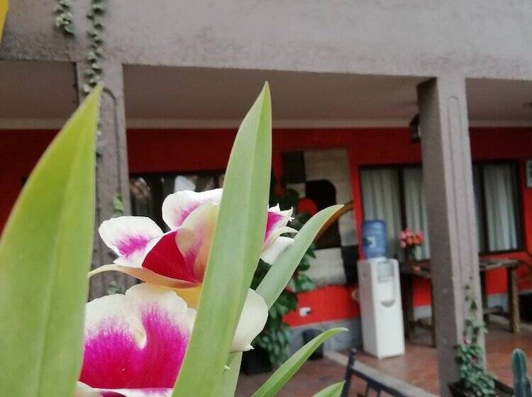 ホテル De Las Culturas