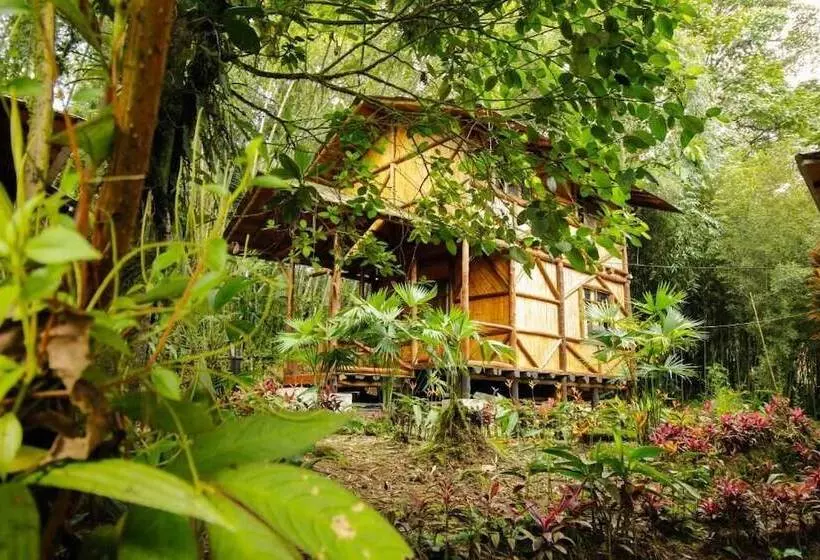 هتل Hosteria Flor De Canela