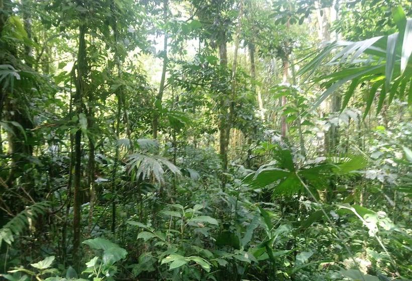 Отель Hosteria Flor De Canela