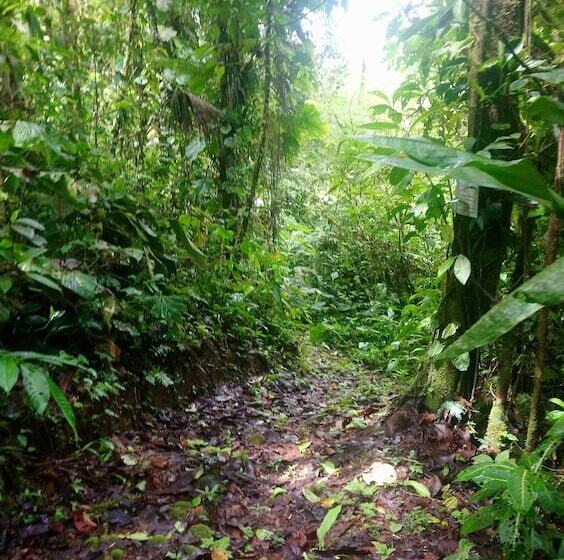 Отель Hosteria Flor De Canela