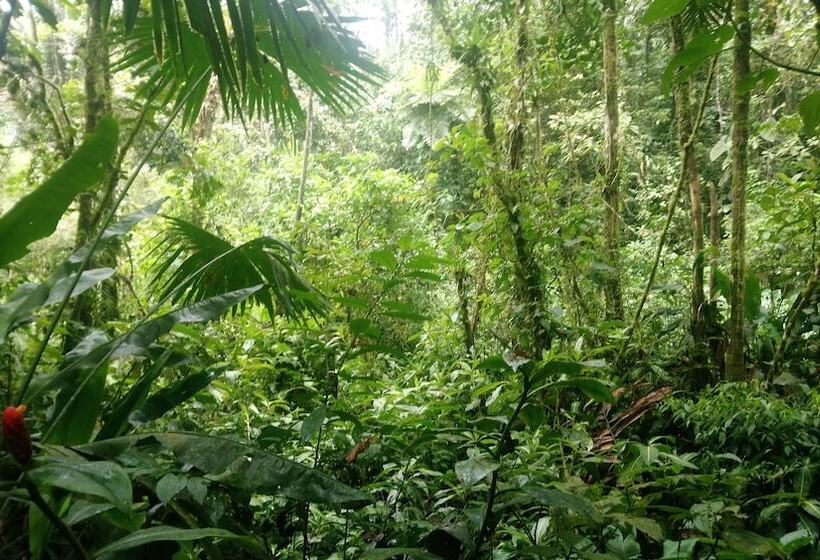 Отель Hosteria Flor De Canela