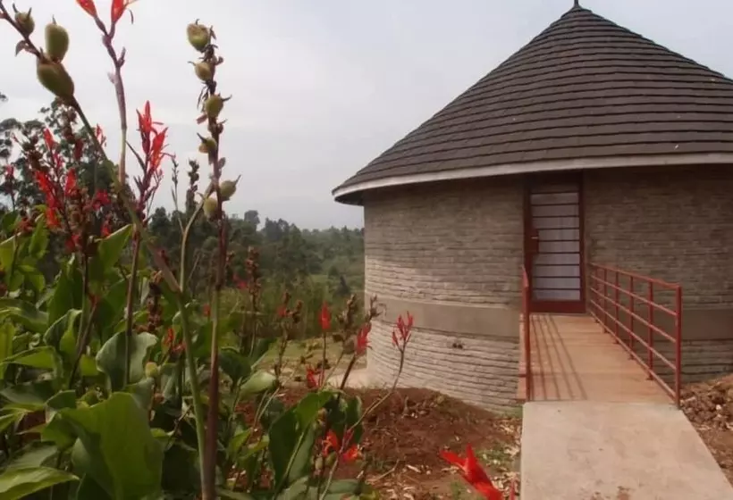 هتل Koi Koi Cultural Village