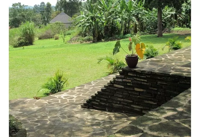 هتل Koi Koi Cultural Village