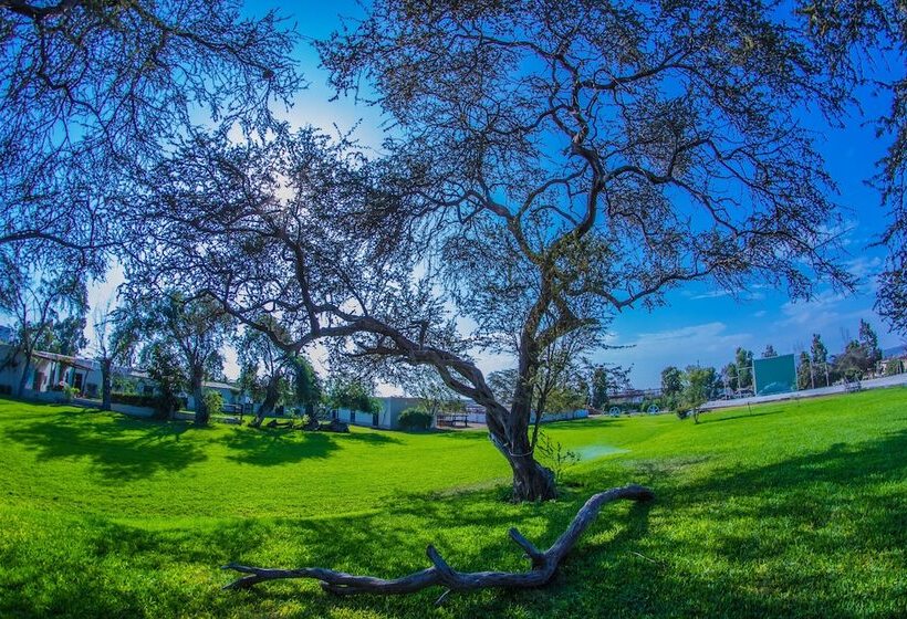 هتل Monteverde Boutique