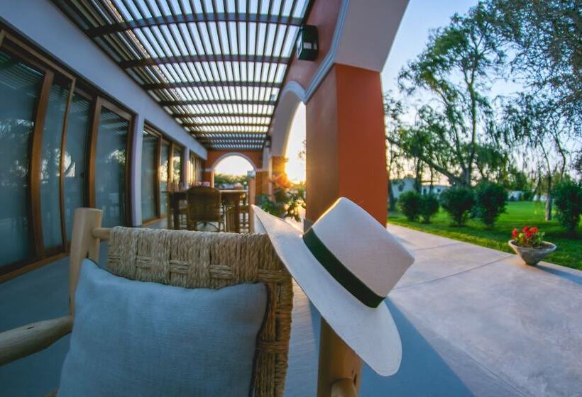 هتل Monteverde Boutique