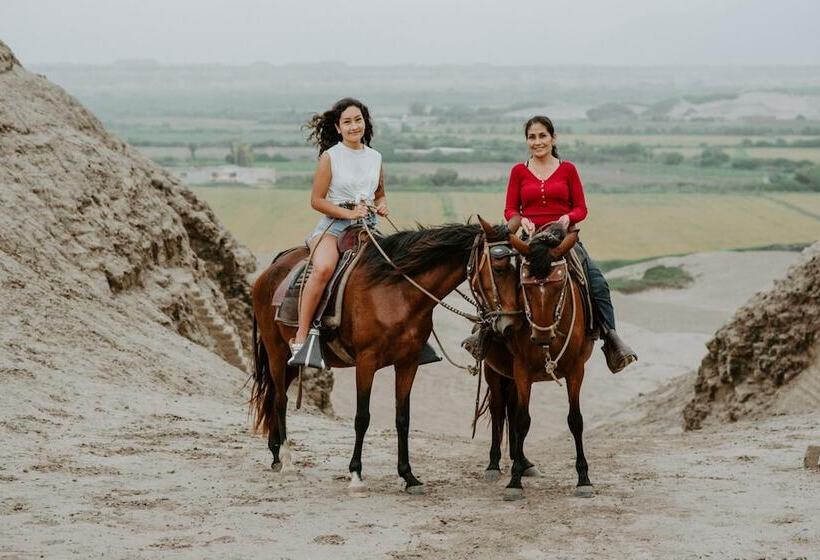 هتل Monteverde Boutique