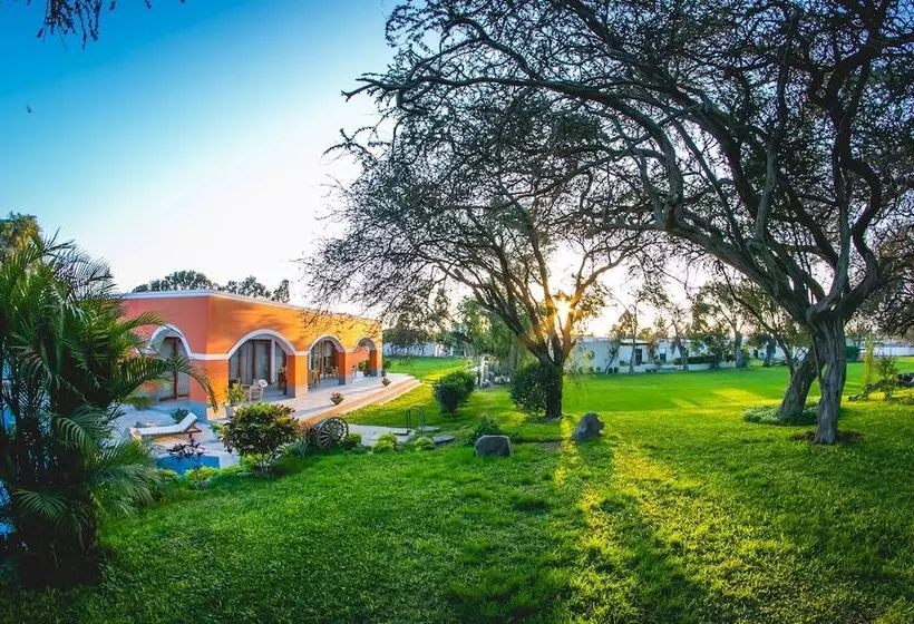 هتل Monteverde Boutique