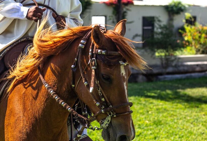 هتل Monteverde Boutique