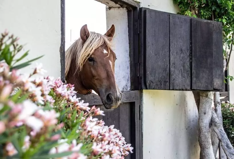 هتل Monteverde Boutique