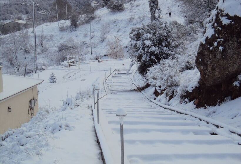 ホテル Pleiades Village