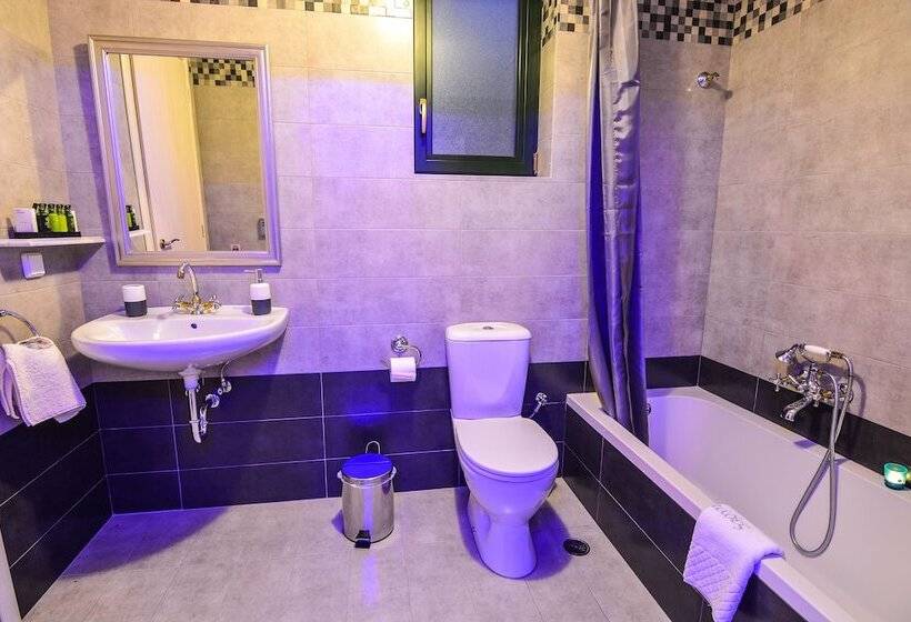 ホテル Pleiades Village