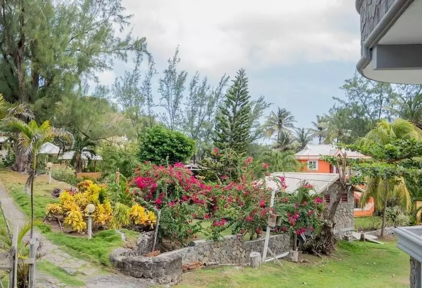 هتل Spring Gardens Resort