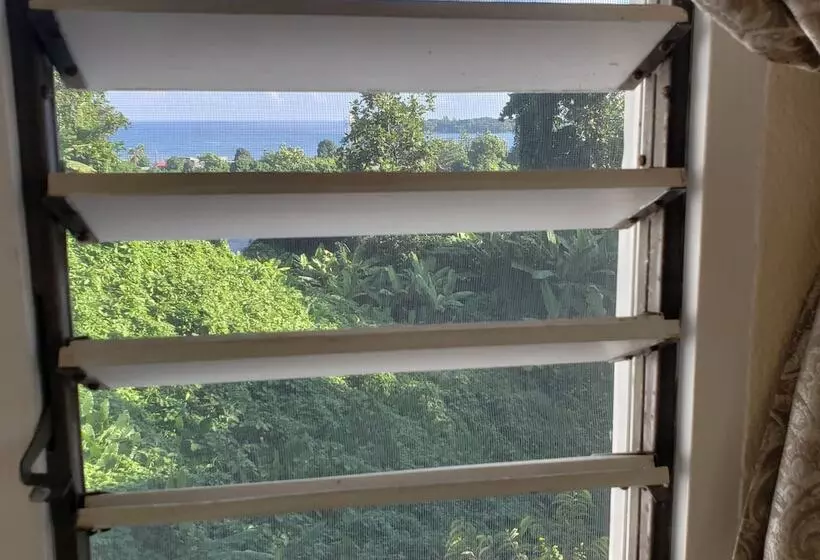 پانسیون Viva Violas