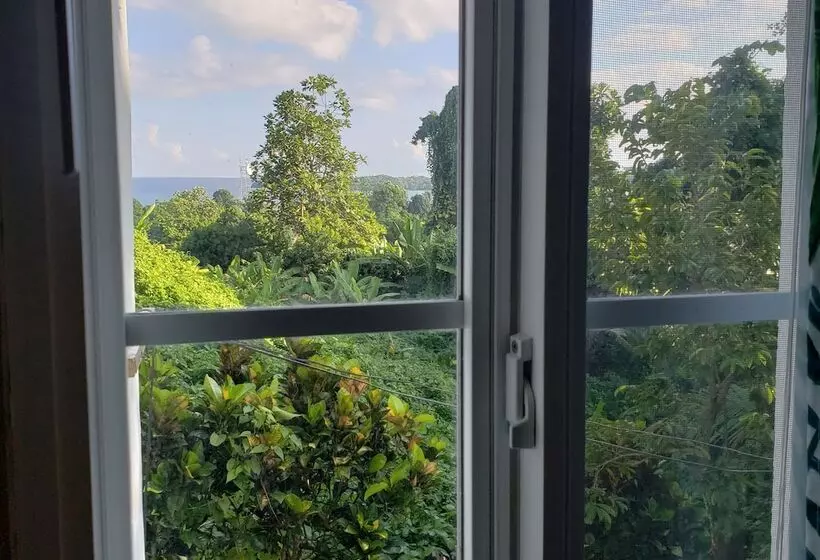 پانسیون Viva Violas