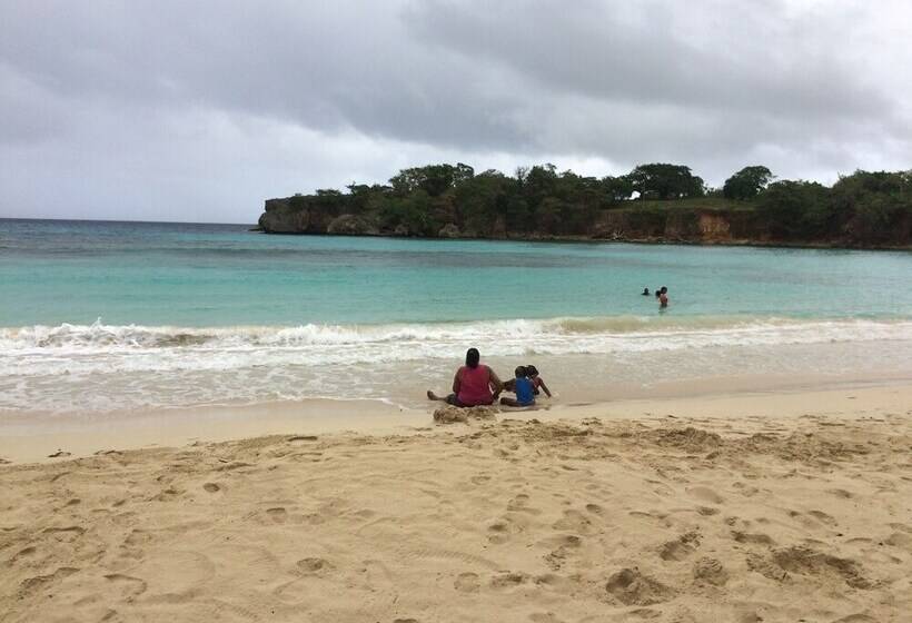 پانسیون Viva Violas