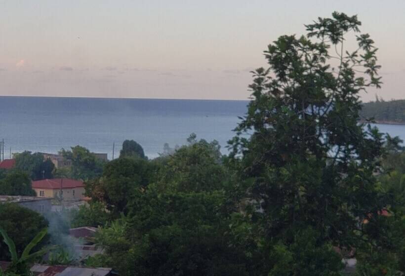 پانسیون Viva Violas