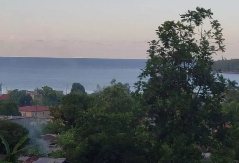 پانسیون Viva Violas