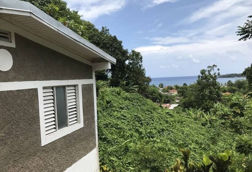 پانسیون Viva Violas