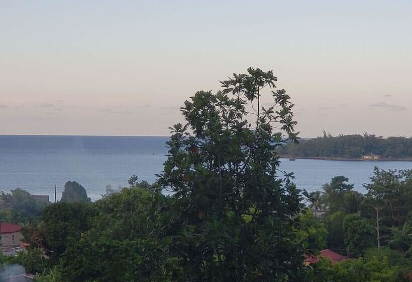 پانسیون Viva Violas