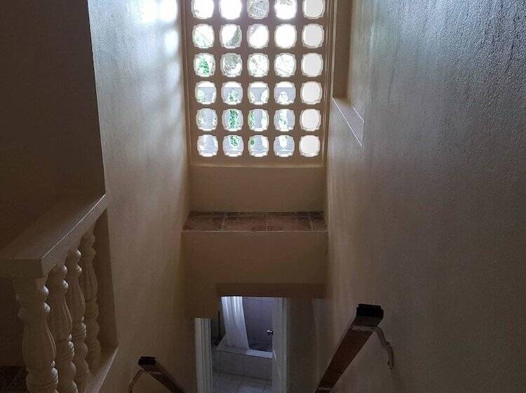 پانسیون Viva Violas