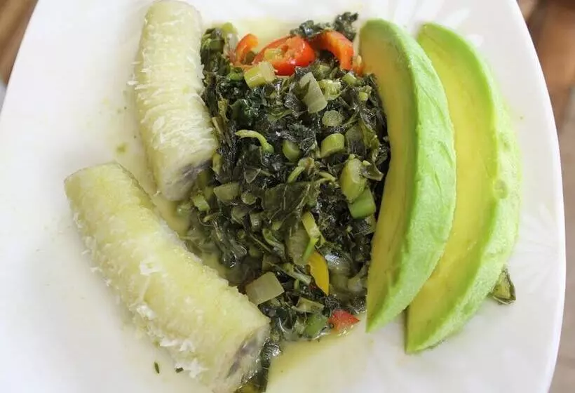 پانسیون Viva Violas