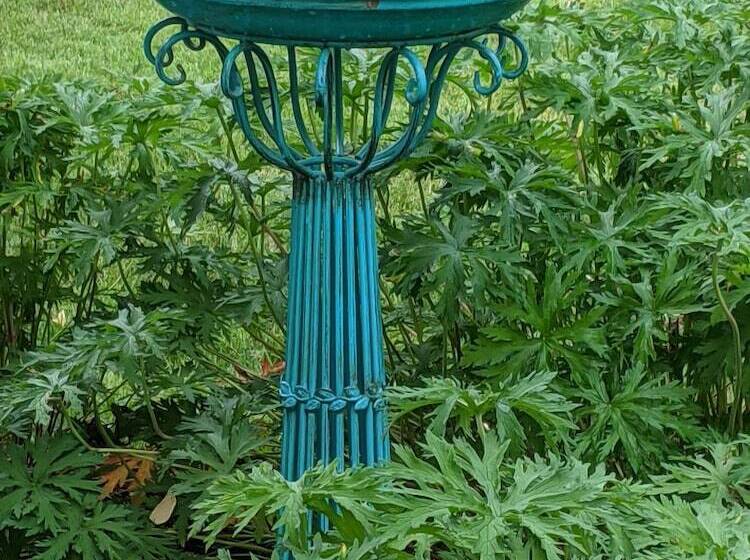 تختخواب و صبحانه The Buckmaster Inn