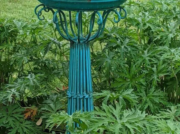 Aamiaismajoitus (B&B) The Buckmaster Inn