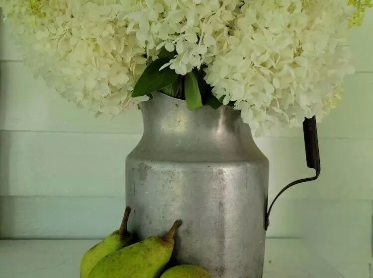 Aamiaismajoitus (B&B) The Buckmaster Inn