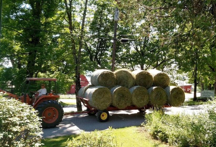 تختخواب و صبحانه The Buckmaster Inn