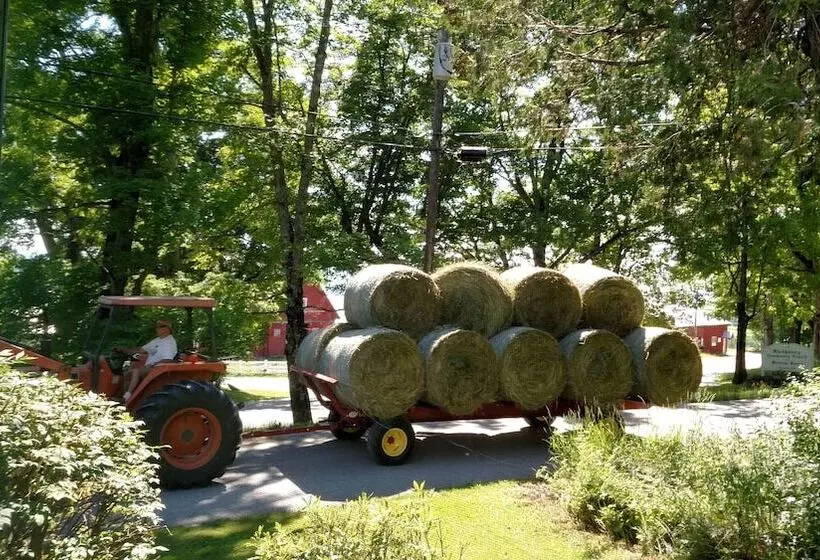 Aamiaismajoitus (B&B) The Buckmaster Inn